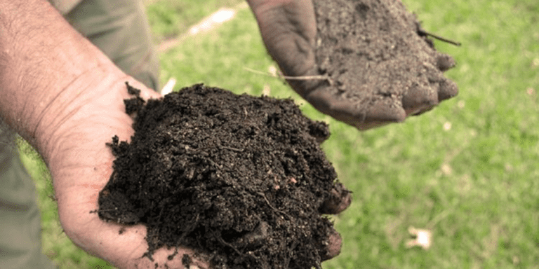 Difference Between Topsoil And Lawn Soil