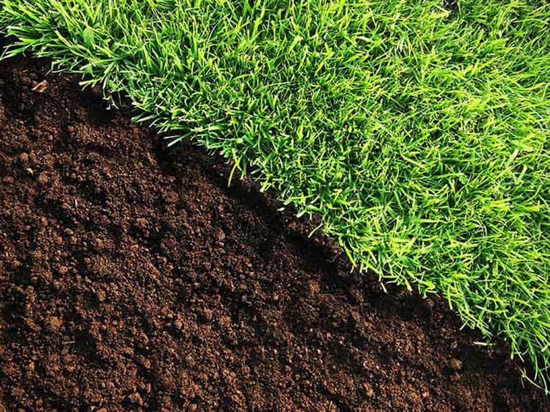 Lawn Soil