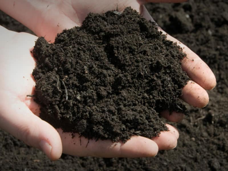 Topsoil for Lawn