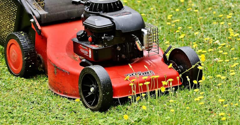 Does Mowing Weeds Spread Them