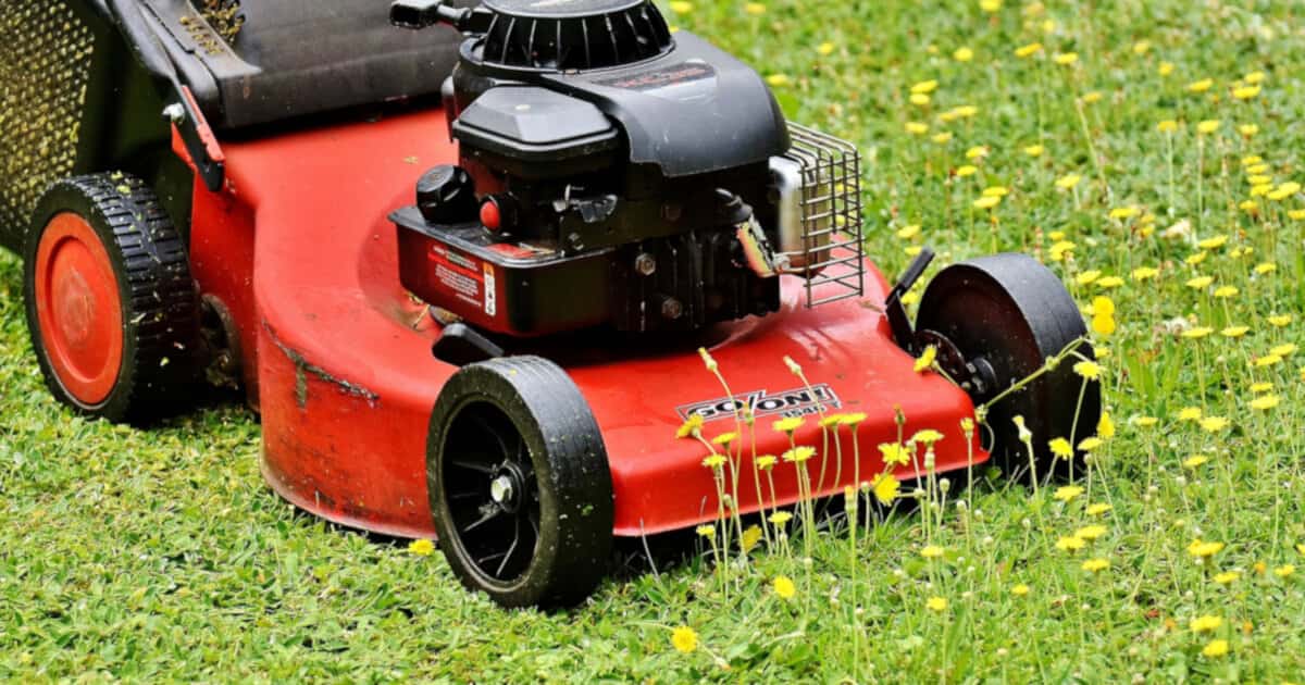 Does Mowing Weeds Spread Them