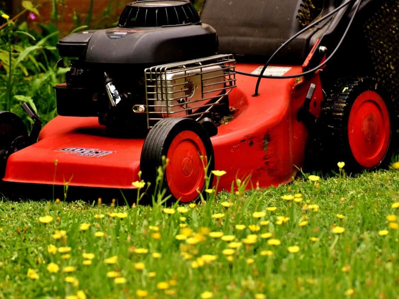 by lawn mower