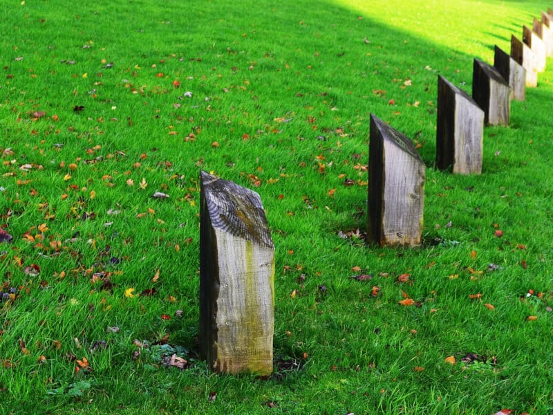 lawn barriers