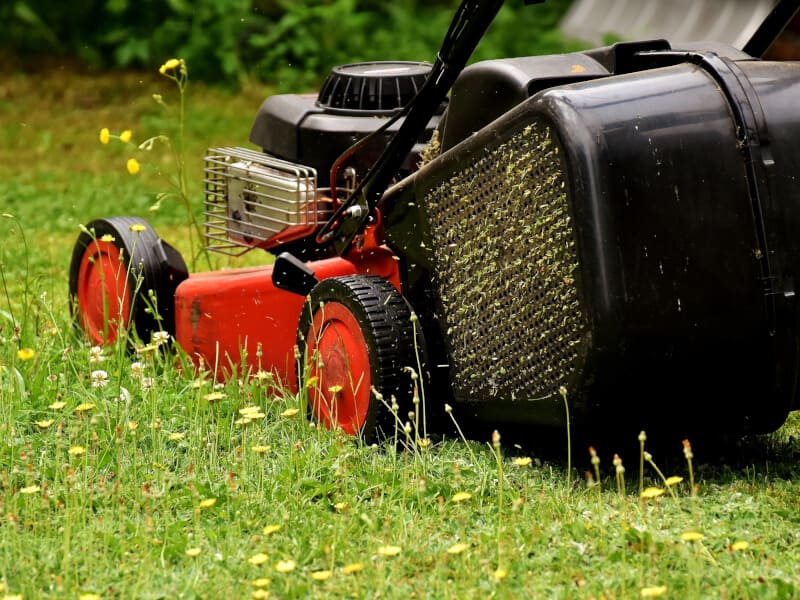 mowing weeds