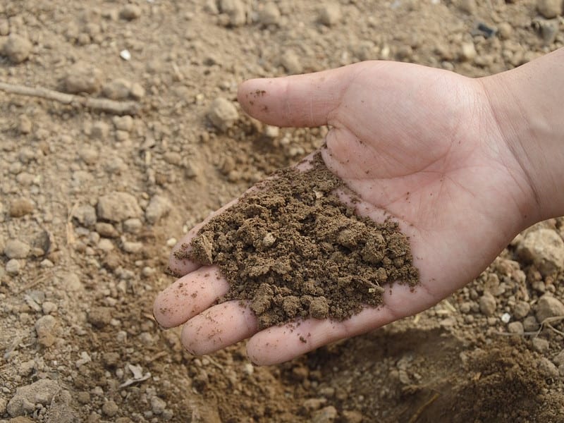 soil fertilizer