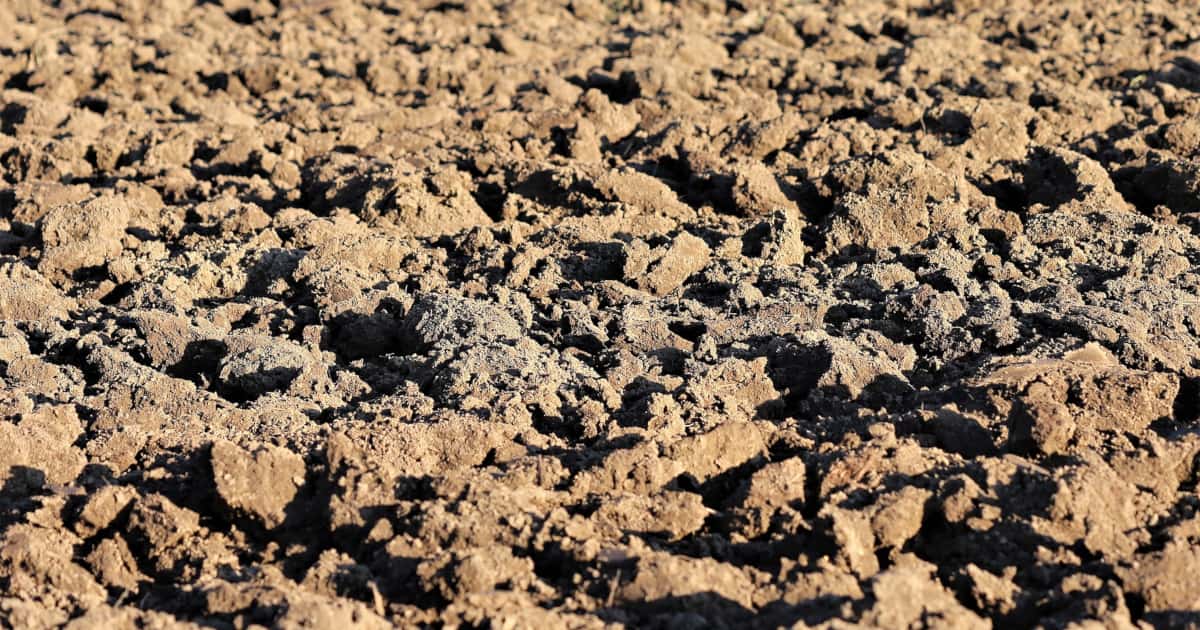 What Is The Difference Between Topsoil And Subsoil