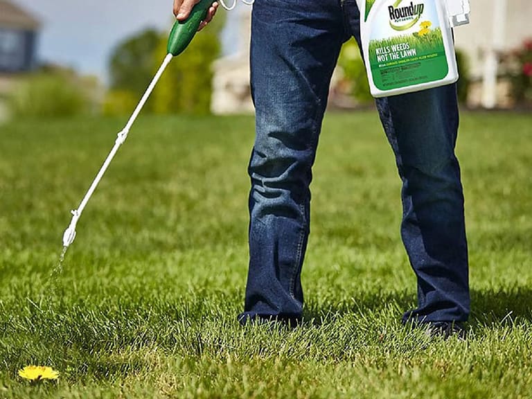 How Fast Does Round Up Work