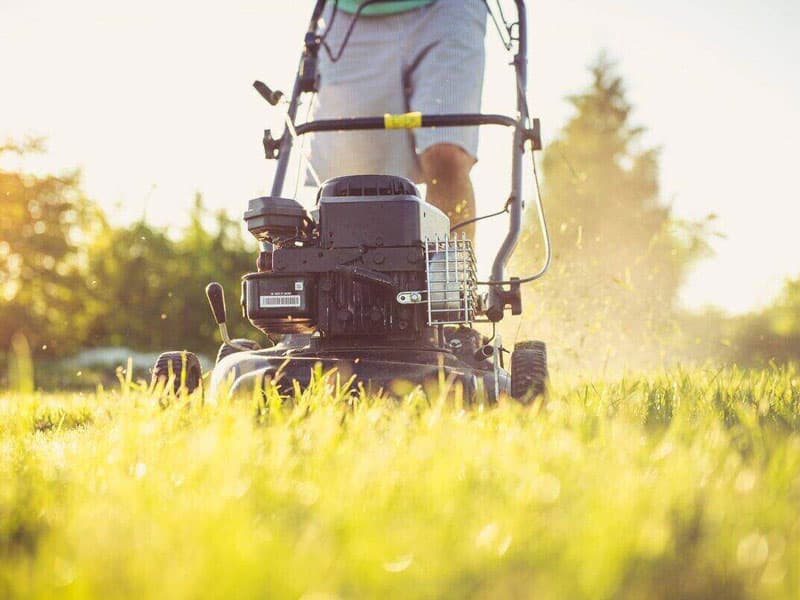 Scalp Your Lawn for healthy lawn