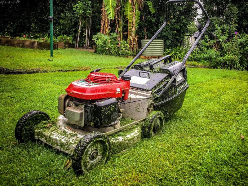Mowing Tips After Rain
