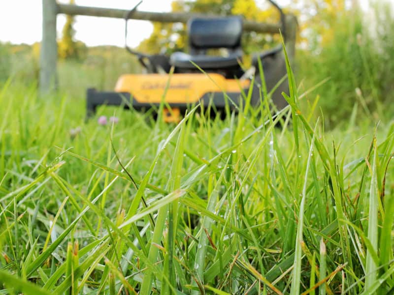 Mowing wet grass