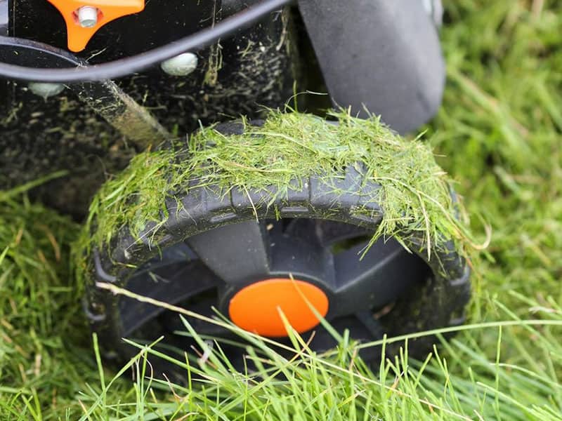 Mowing your lawn after a rain shower