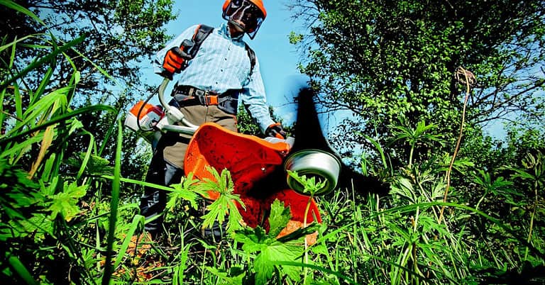 Can You Weed Eat Wet Grass