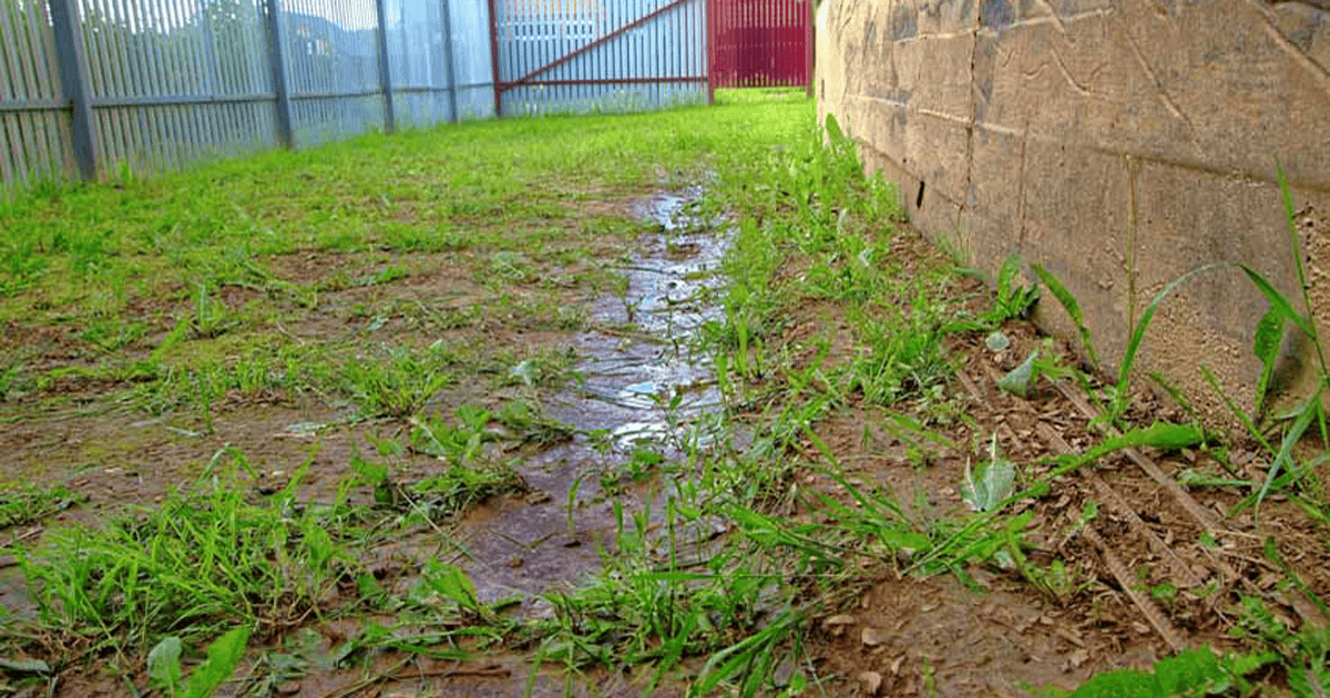 How To Cover Up Mud In Backyard