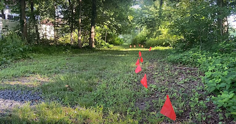 When Can I Remove Utility Flags In My Yard