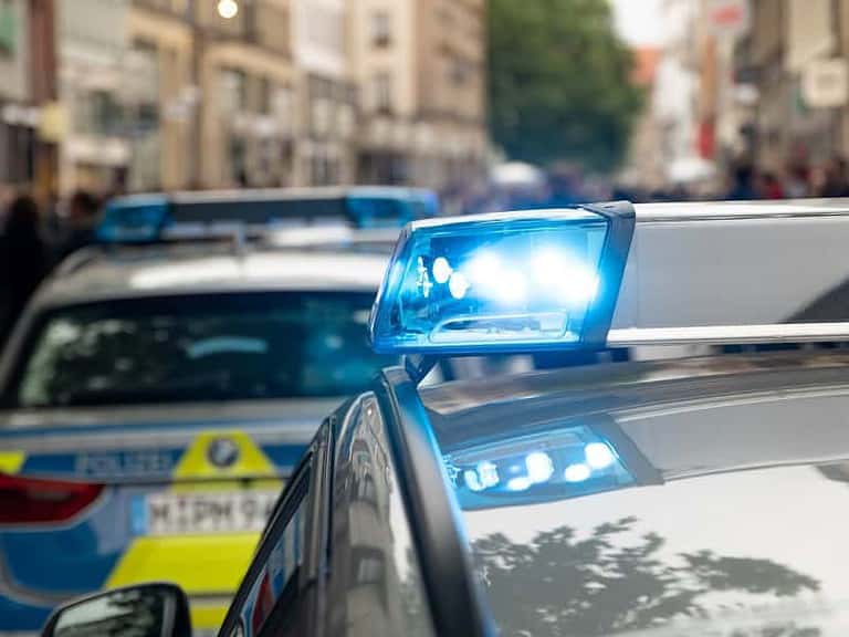 How to Deal with Neighbors Throwing Trash in My Yard