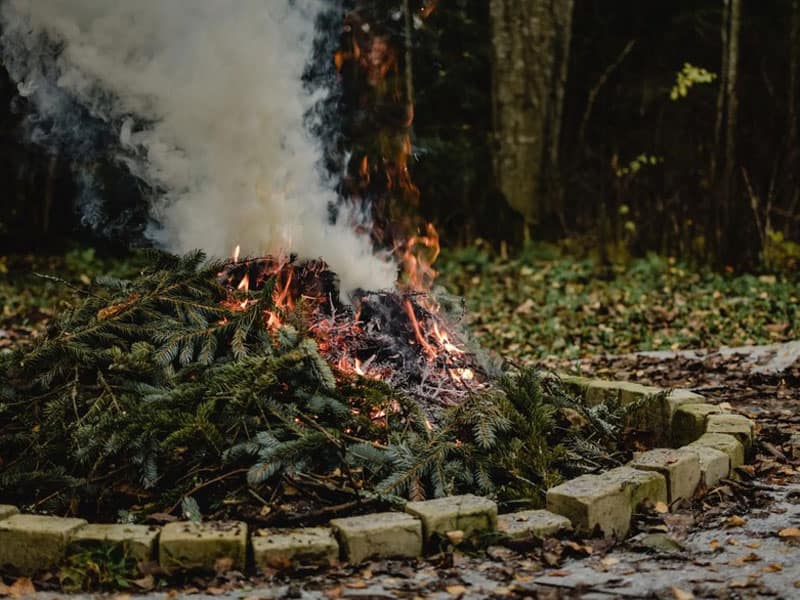 Have a fire in windy conditions