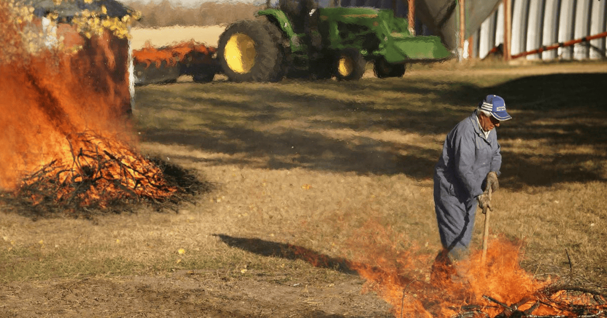 How Windy Is Too Windy For A Fire