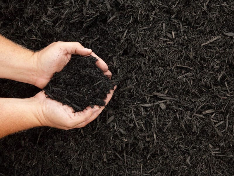 Black Rubber Mulch Scent