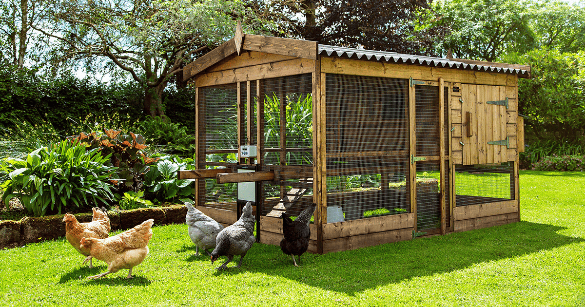 Can HOA Ban Chickens In Texas