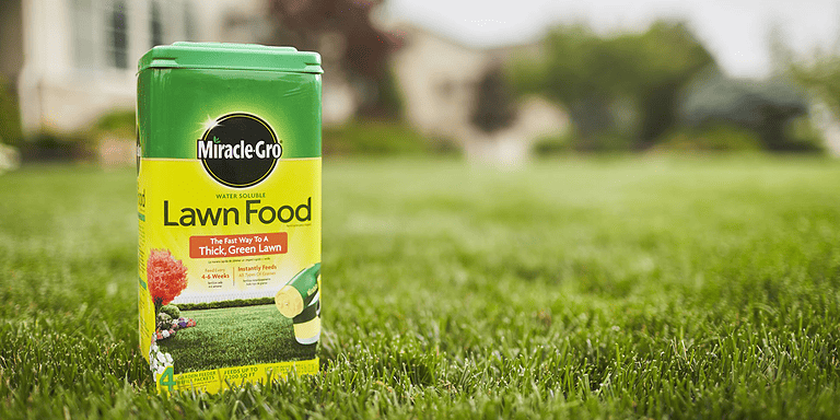 Miracle Grow Killed My Grass
