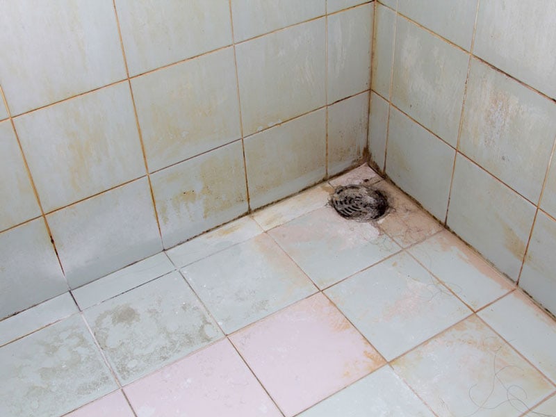 Pink Mold on Shower Stains