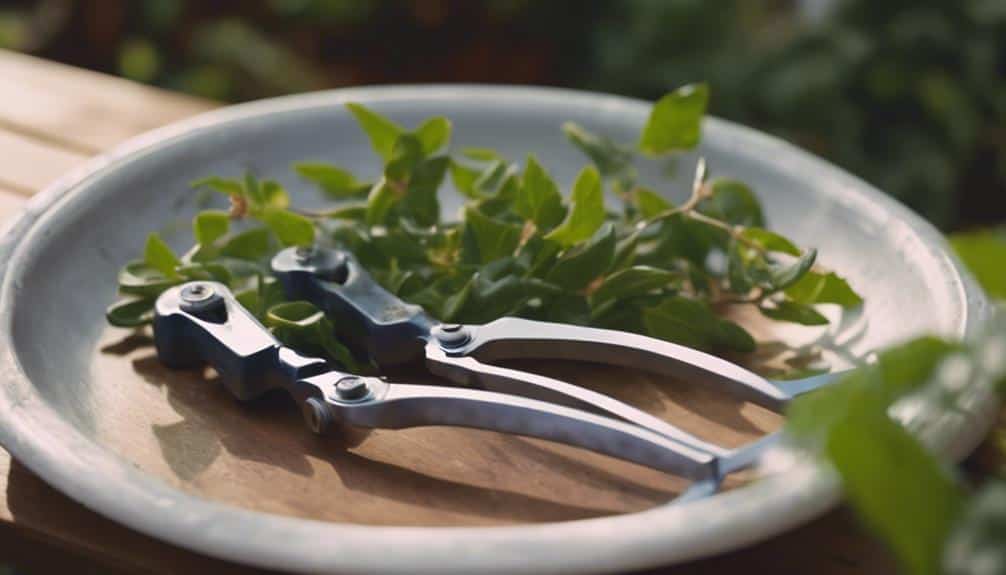 Keep Pruning Shears Clean Prevent Plant Diseases