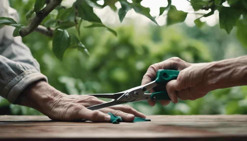 Keep Pruning Shears Clean Prevent Plant Diseases