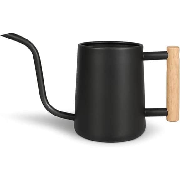 Watering Can for Indoor Plants (Black)