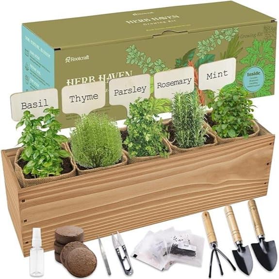 5 Herb Garden Planter with Wooden Box