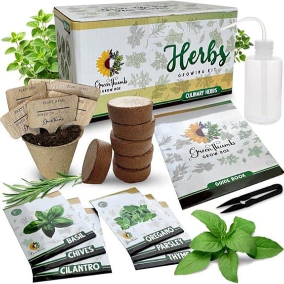 Herb Garden Kit Indoor 6-Seed Starter