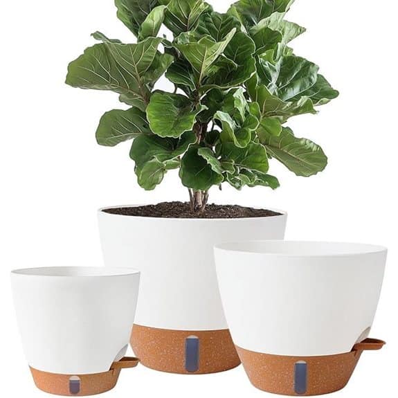 Self-Watering Pots for Indoor/Outdoor Plants (White)
