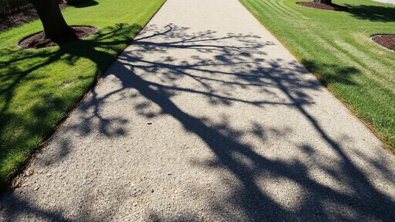 prevent mud on yard pathways