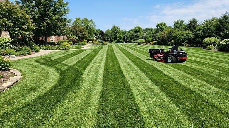 achieve professional lawn stripes